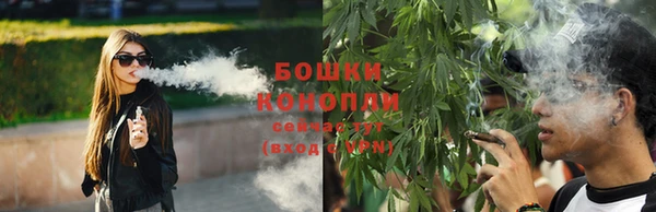 соль ск Костерёво