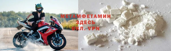 прущие грибы Корсаков