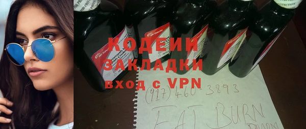 прущие грибы Корсаков