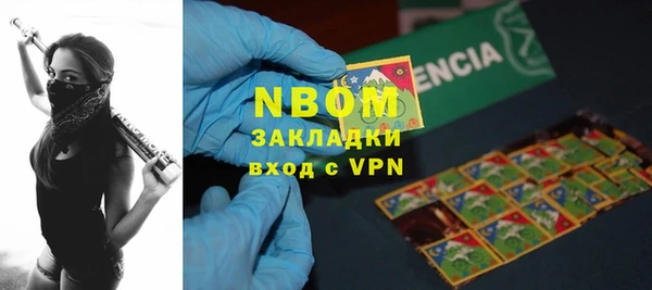 прущие грибы Корсаков