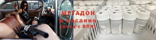 прущие грибы Корсаков