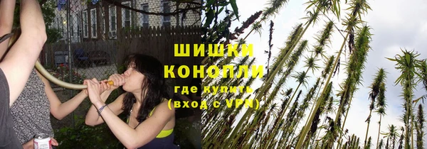 соль ск Костерёво