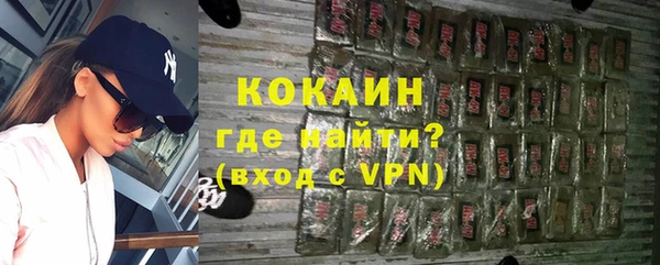 прущие грибы Корсаков