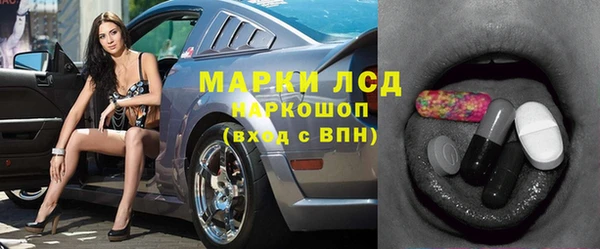 прущие грибы Корсаков