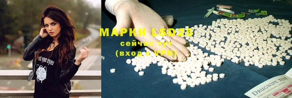 прущие грибы Корсаков