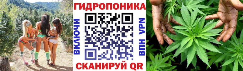 Шишки марихуана THC 21%  Купить где  Белинский 